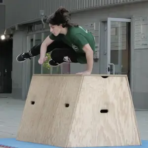 Corso Guardiani - Parkour per 1° - 5° Superiore presso MOTA A.S.D.